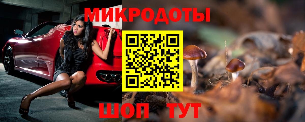 Галлюциногенные грибы Cubensis  Вход с VPN  где купить наркоту  Хасавюрт 